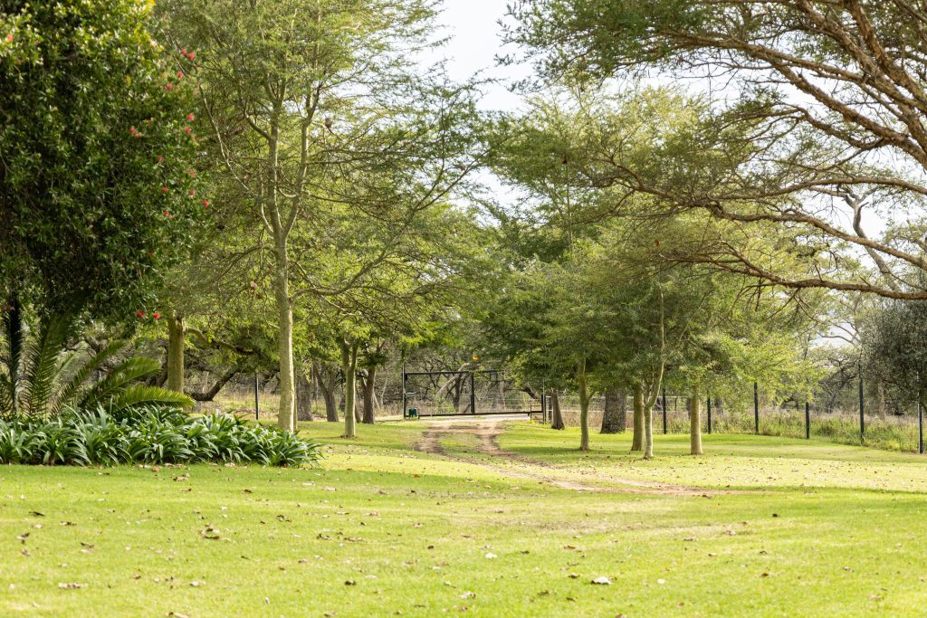 Entrance-1-1024x683
