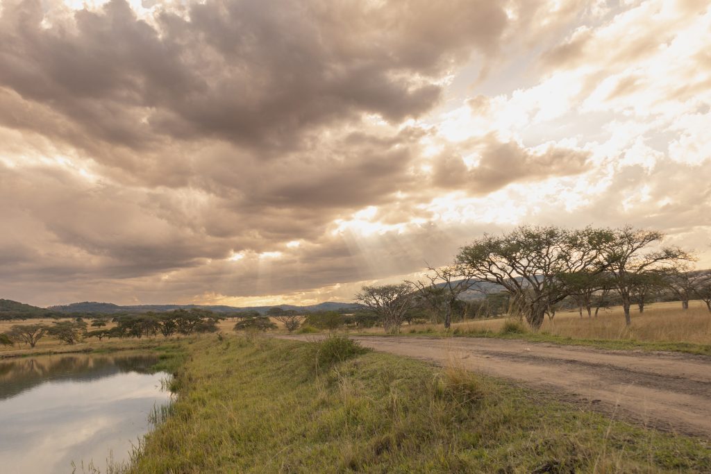 Road-to-lodge-1-1024x683