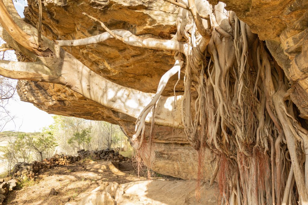 Rock-paintings-trail-3-1024x683